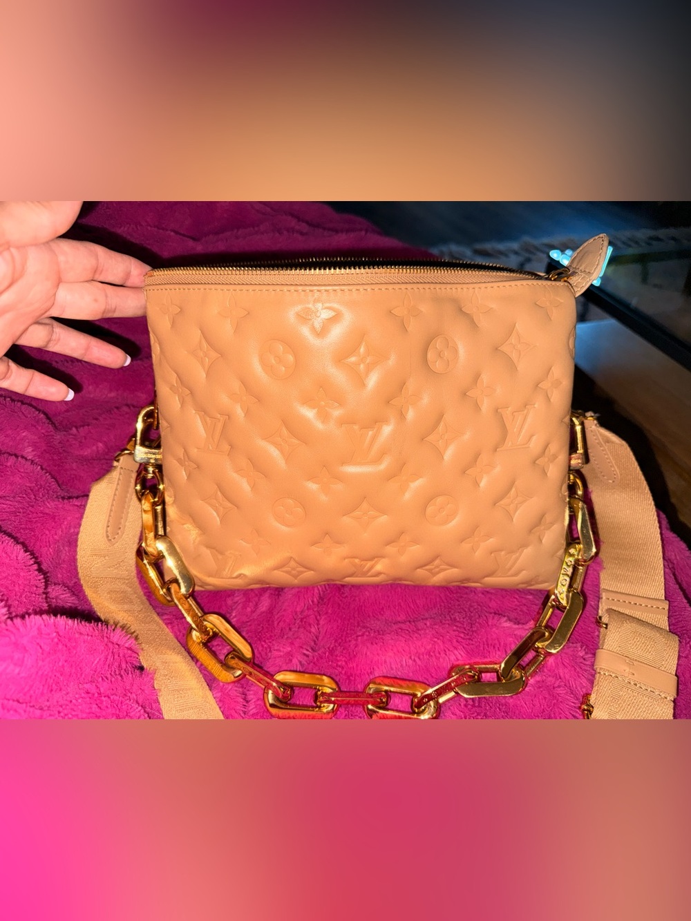 Louis Vuitton Coussin PM